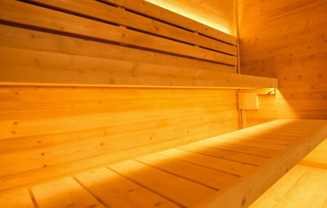 AthleteX Athlete Solid Wood Sauna-AthleteX Recovery